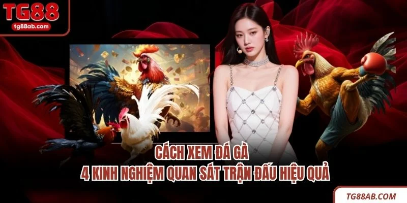 Cách Xem Đá Gà