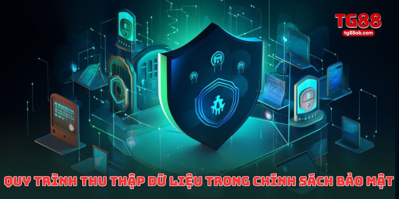 Quy trình thu thập dữ liệu trong chính sách bảo mật TG88