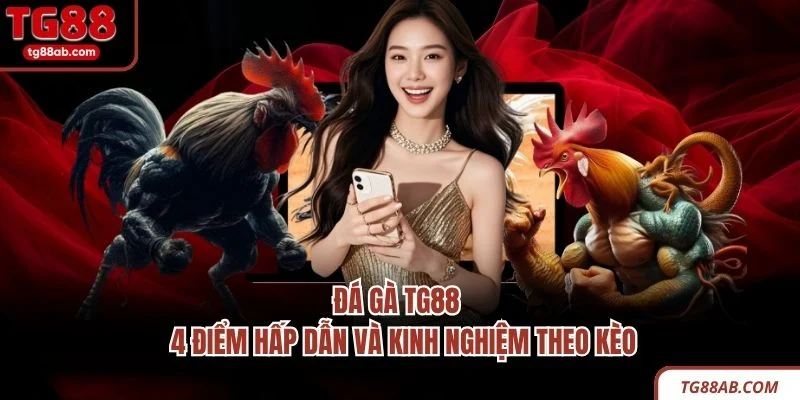 Đá gà TG88
