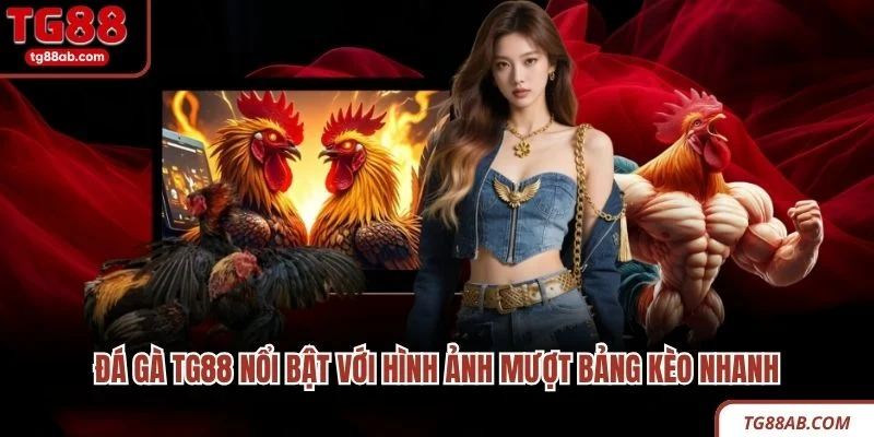 Đá gà TG88 nổi bật với hình ảnh mượt bảng kèo nhanh