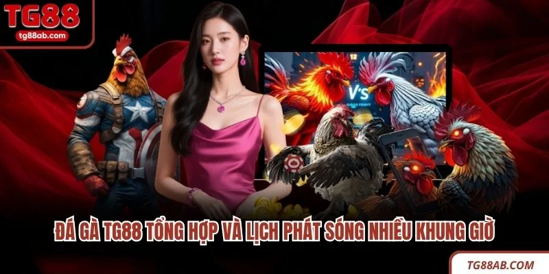 Đá gà TG88 tổng hợp và lịch phát sóng nhiều khung giờ