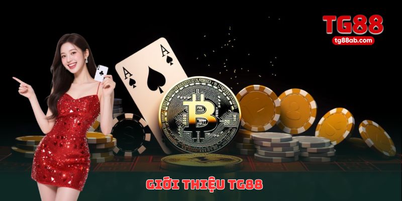 Giới thiệu TG88 – Nền tảng cá cược trực tuyến uy tín hàng đầu