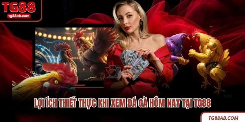 Lợi ích thiết thực khi xem đá gà hôm nay tại TG88