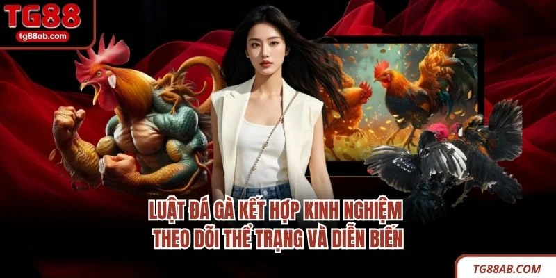 Luật đá gà kết hợp kinh nghiệm theo dõi thể trạng và diễn biến