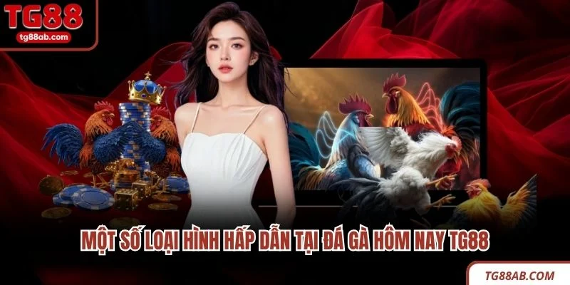 Một số loại hình hấp dẫn tại đá gà hôm nay TG88