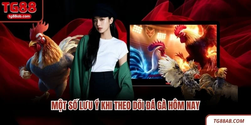 Một số lưu ý khi theo dõi đá gà hôm nay